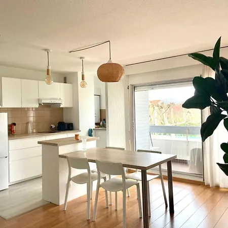 Appartamento Lumineux Avec Terrasses à